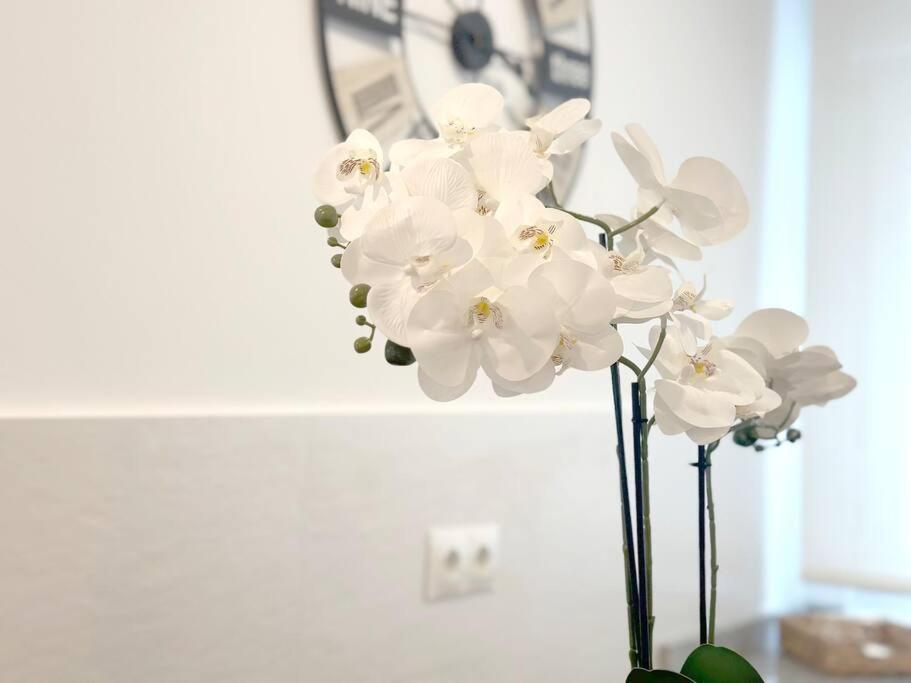 Apartamento Reformado En Santoña Exterior foto